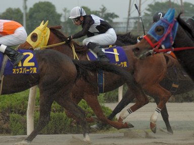 2008/11/03 c07R