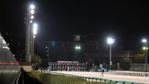 2023/11/29 船橋11R