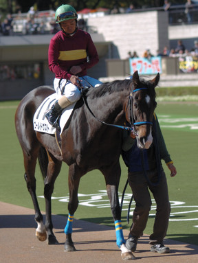 2008/11/01 東京06R