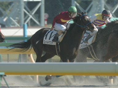 2008/11/01 東京06R