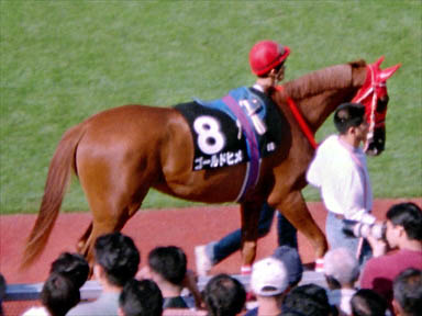 1997/10/05 東京09R