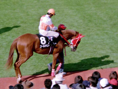 1997/10/05 東京09R