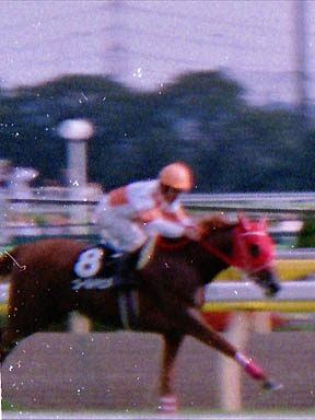 1997/10/05 東京09R