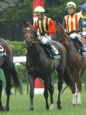 2008/07/13 福島10R