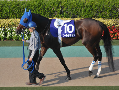 2011/10/10 東京11R