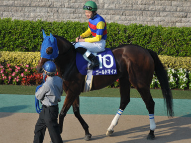2011/10/10 東京11R