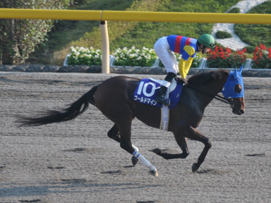 2011/10/10 東京11R