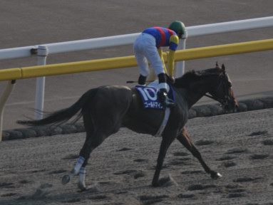 2011/10/10 東京11R