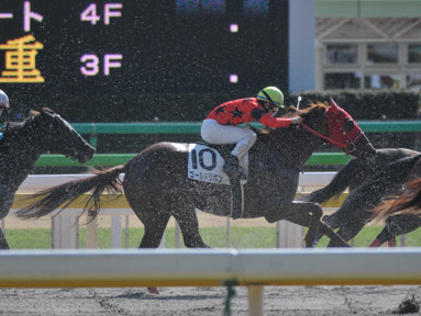 2016/02/14 東京06R