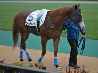 2023/10/15 東京06R