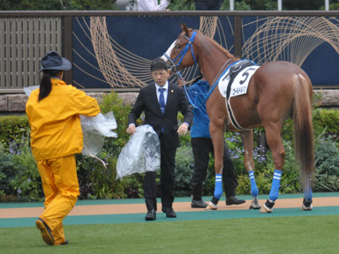 2023/10/15 東京06R
