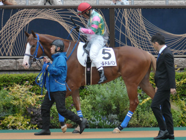 2023/10/15 東京06R