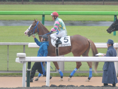 2023/10/15 東京06R