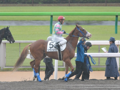 2023/10/15 東京06R