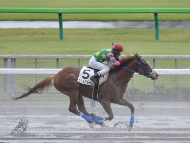 2023/10/15 東京06R