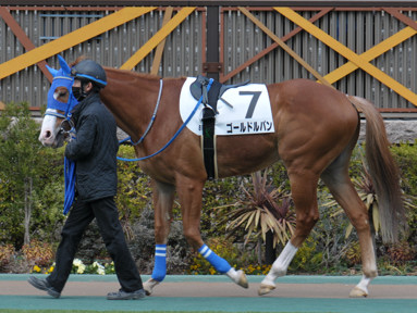2024/02/17 東京08R