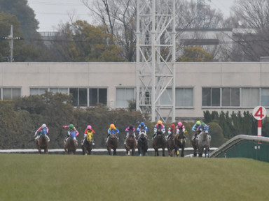 2024/02/17 東京08R