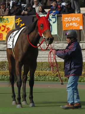 2007/02/11 07R