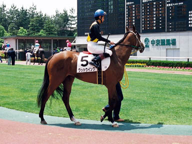 1999/05/30 中京06R