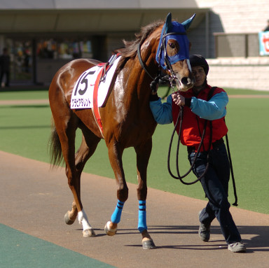 2005/02/06 東京08R