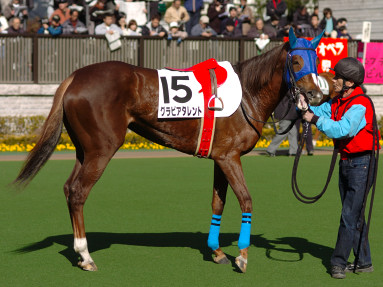 2005/02/06 東京08R