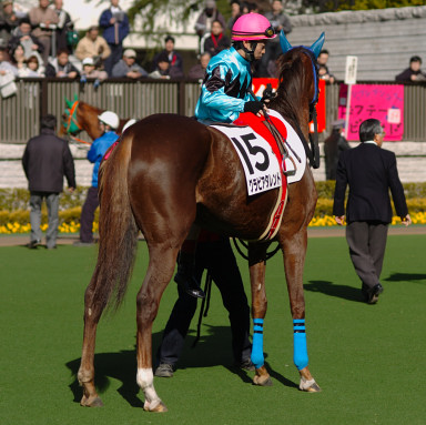 2005/02/06 東京08R
