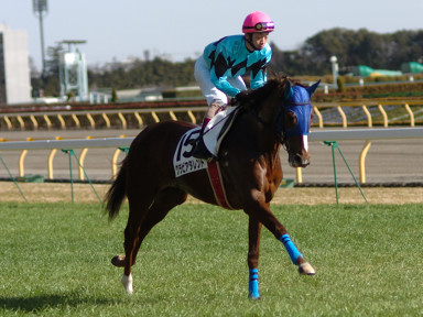 2005/02/06 東京08R