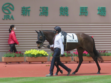 2021/05/09 新潟08R