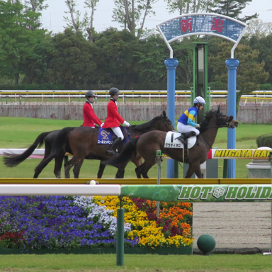 2021/05/09 新潟08R