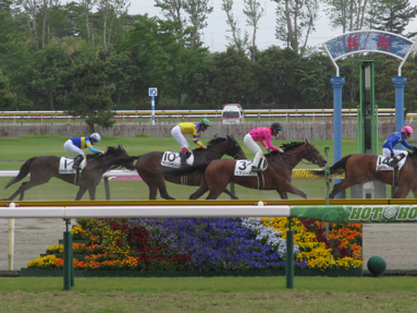 2021/05/09 新潟08R