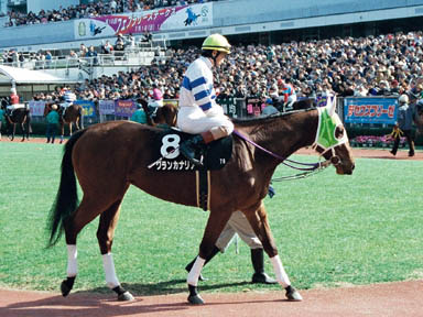 1998/02/01 東京07R