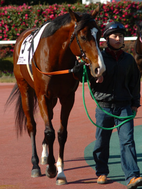 2004/12/11 中京04R