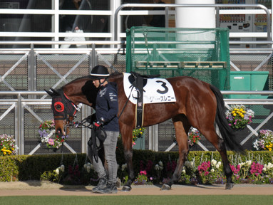 2022/10/10 東京04R