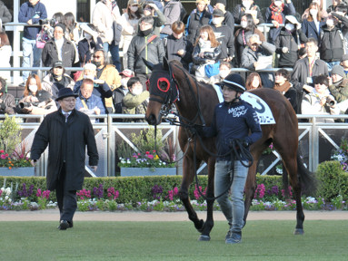 2022/10/10 東京04R