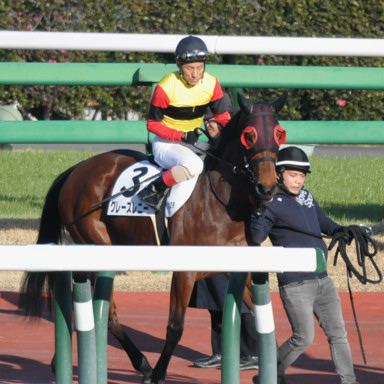 2022/10/10 東京04R