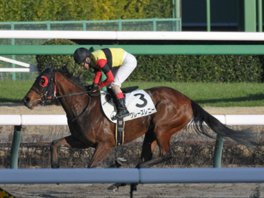 2022/10/10 東京04R