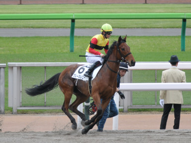 2024/04/27 東京07R