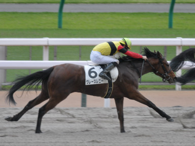 2024/04/27 東京07R