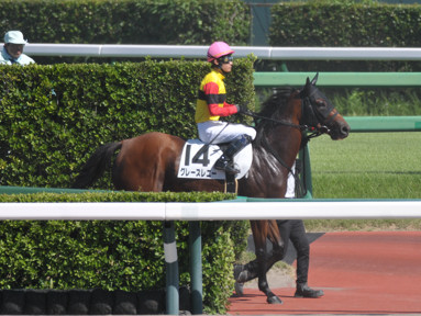 2024/09/14 中山08R