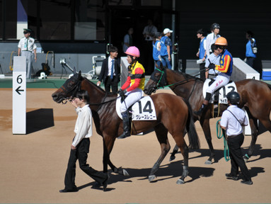 2024/09/14 中山08R