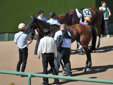 2024/09/14 中山08R