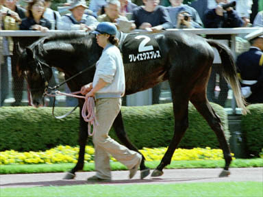 2000/04/22 ����09R