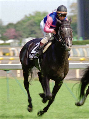 2000/04/22 ����09R