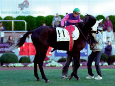 2001/01/14 ���R12R