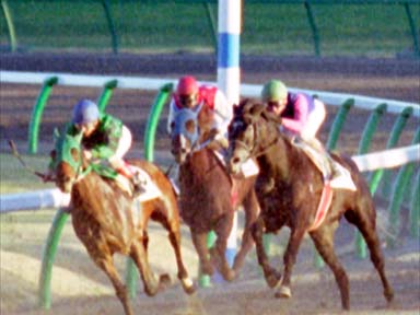 2001/01/14 ���R12R