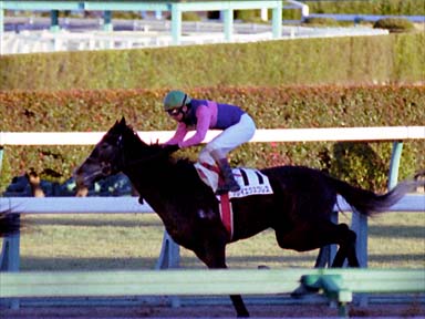 2001/01/14 ���R12R