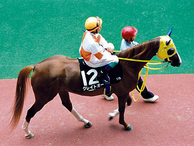1998/06/21 福島11R