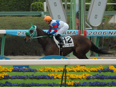 2006/04/02 中山08R