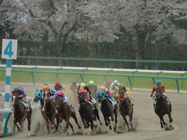 2006/04/02 中山08R