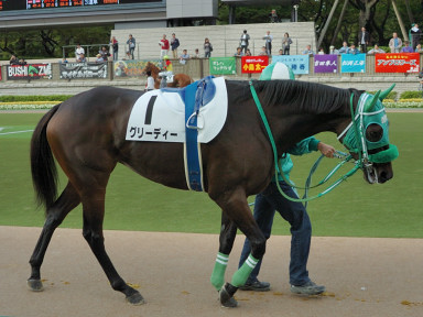 2007/10/20 東京12R
